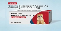 Canine Distemper Virus Test Kit: Safeguard Pets and Humans