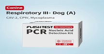 Canine Respiratory PCR Panel: Accurate Pet Medical Care