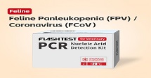 Feline Coronavirus Test Kit (FCoV Test Kit): A Shield for Cat Health