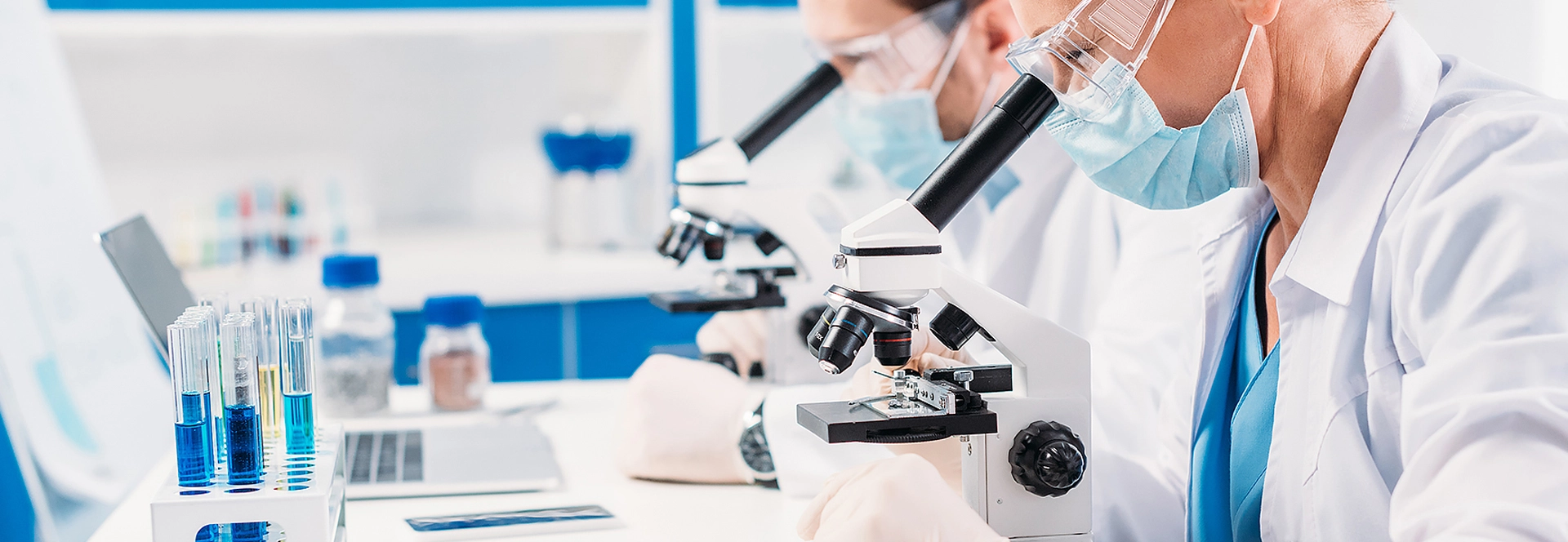 Understanding PCR Tests in Veterinary Medicine