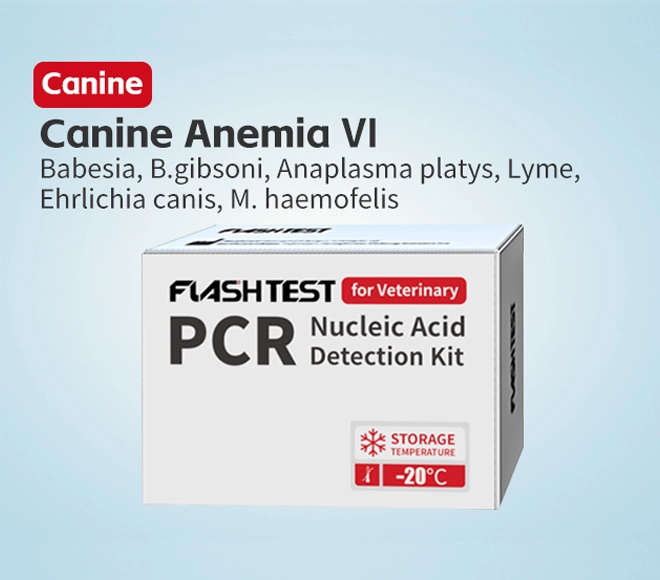 canine anemia pcr