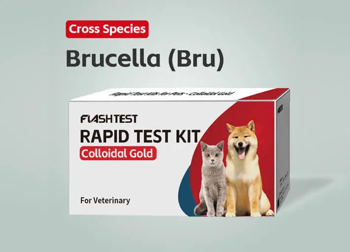 Brucella IgG (Bru IgG) Test Kit