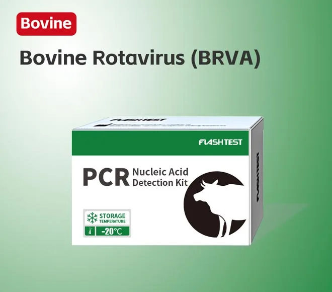 bovine rotavirus brva
