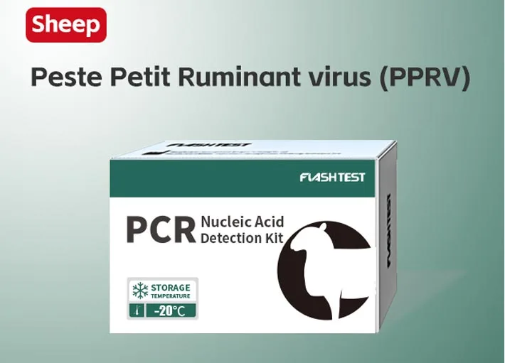 Peste Petit Ruminant Virus (PPRV)