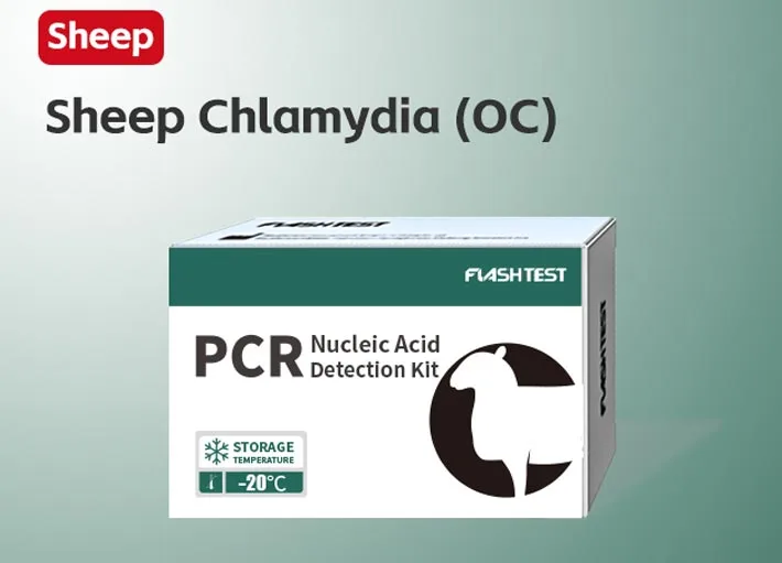 Sheep Chlamydia (OC)