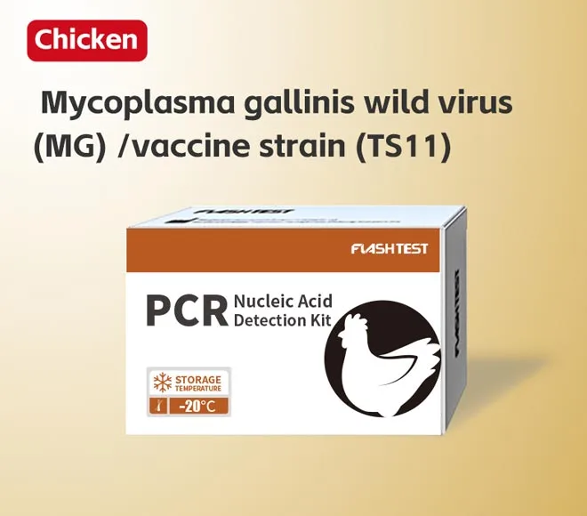 mycoplasma gallinis wild virus mg vaccine strain ts11
