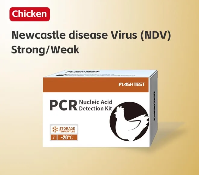 newcastle disease virus ndv strong weak