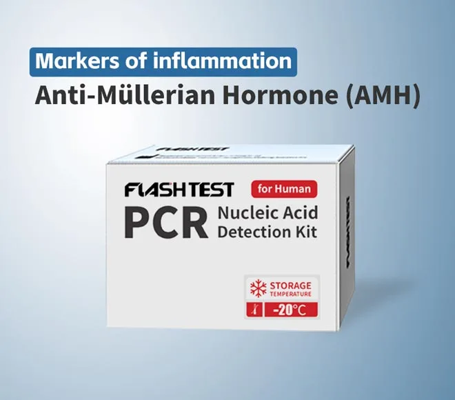 anti mllerian hormone amh