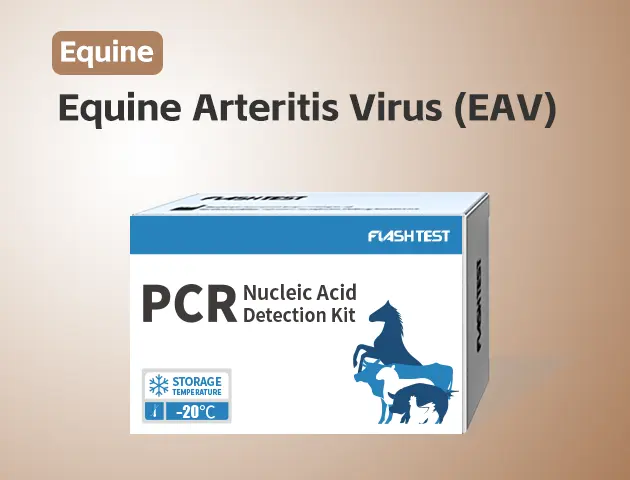 [3712]Equine Arteritis Virus (EAV)