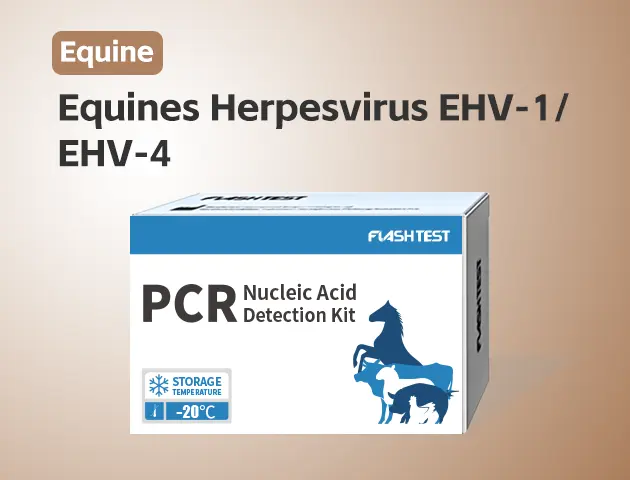 [3714]Equines Herpesvirus EHV-1/EHV-4