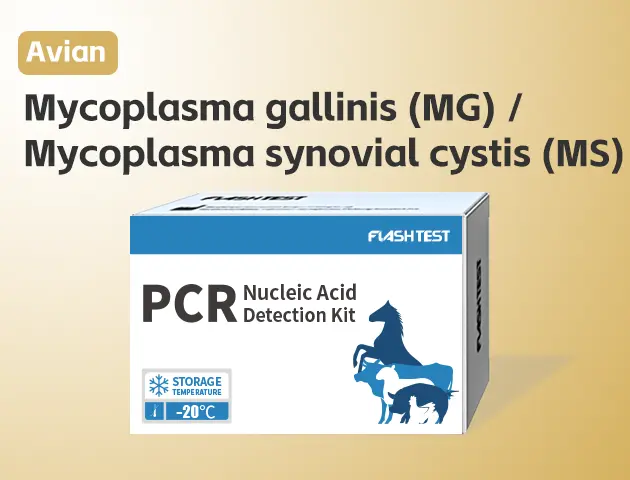 [3515]Mycoplasma gallinis (MG) /Mycoplasma synovial cystis (MS)