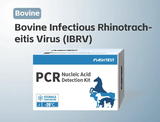 [3303]Bovine Infectious Rhinotracheitis Virus (IBRV)