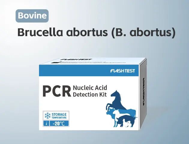 [3306]Brucella abortus (B. abortus)