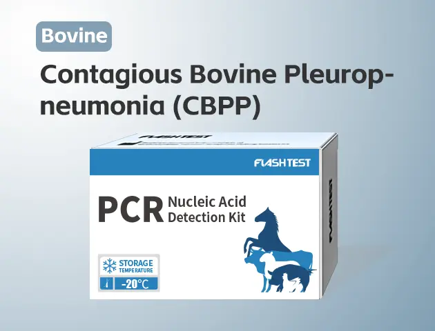 [3308]Contagious Bovine Pleuropneumonia (CBPP)