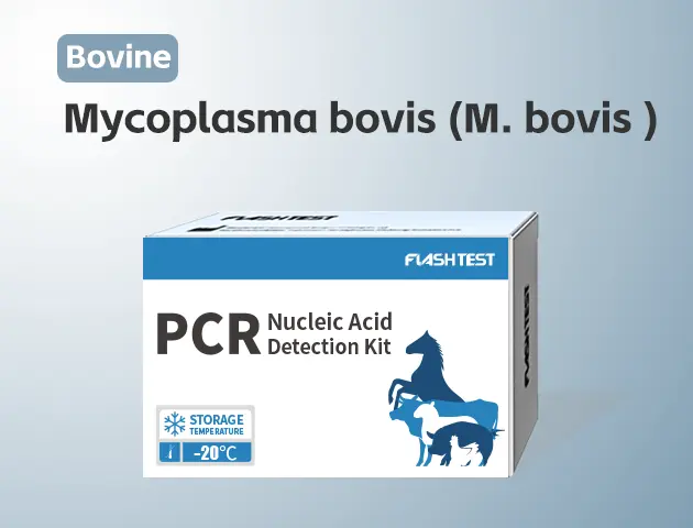 [3309]Mycoplasma bovis (M. bovis )