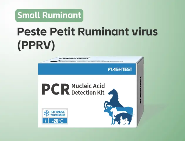 [3313]Peste Petit Ruminant Virus (PPRV)