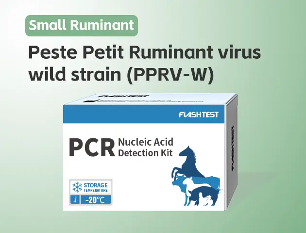 [3314]Peste Petit Ruminant Virus Wild Strain (PPRV-W)