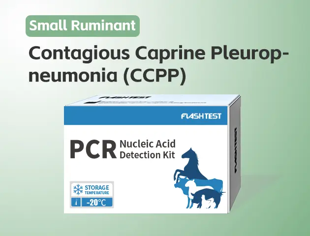 [3315]Contagious Caprine Pleuropneumonia (CCPP)