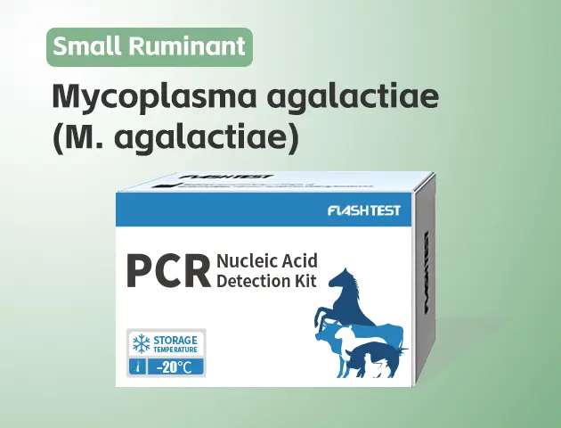 [3317]Mycoplasma agalactiae (M. agalactiae)