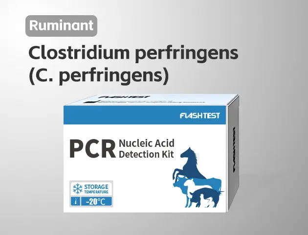 [3322]Clostridium perfringens (C. perfringens)