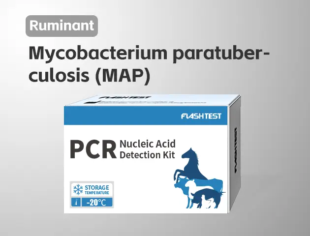 [3323]Mycobacterium Paratuberculosis (MAP)