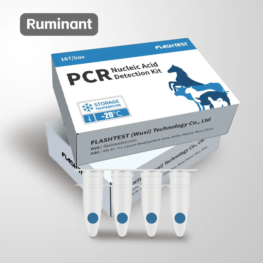 Bluetongue Virus (BTV) Nucleic Acid Test Kit (Lyophilized)