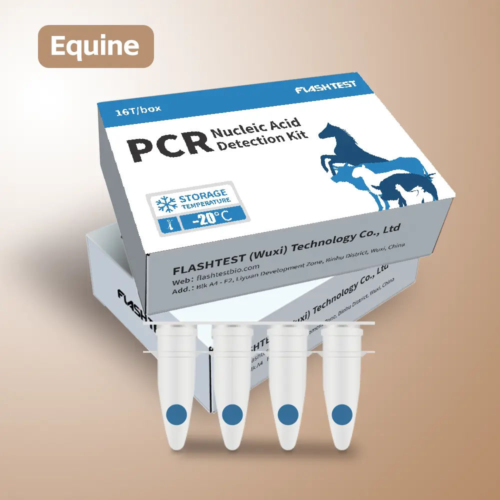 Equine Arteritis Virus (EAV) Nucleic Acid Test Kit (Lyophilized)