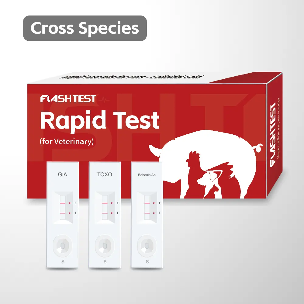 Babesia Gibsoni Ab Rapid Test Kit