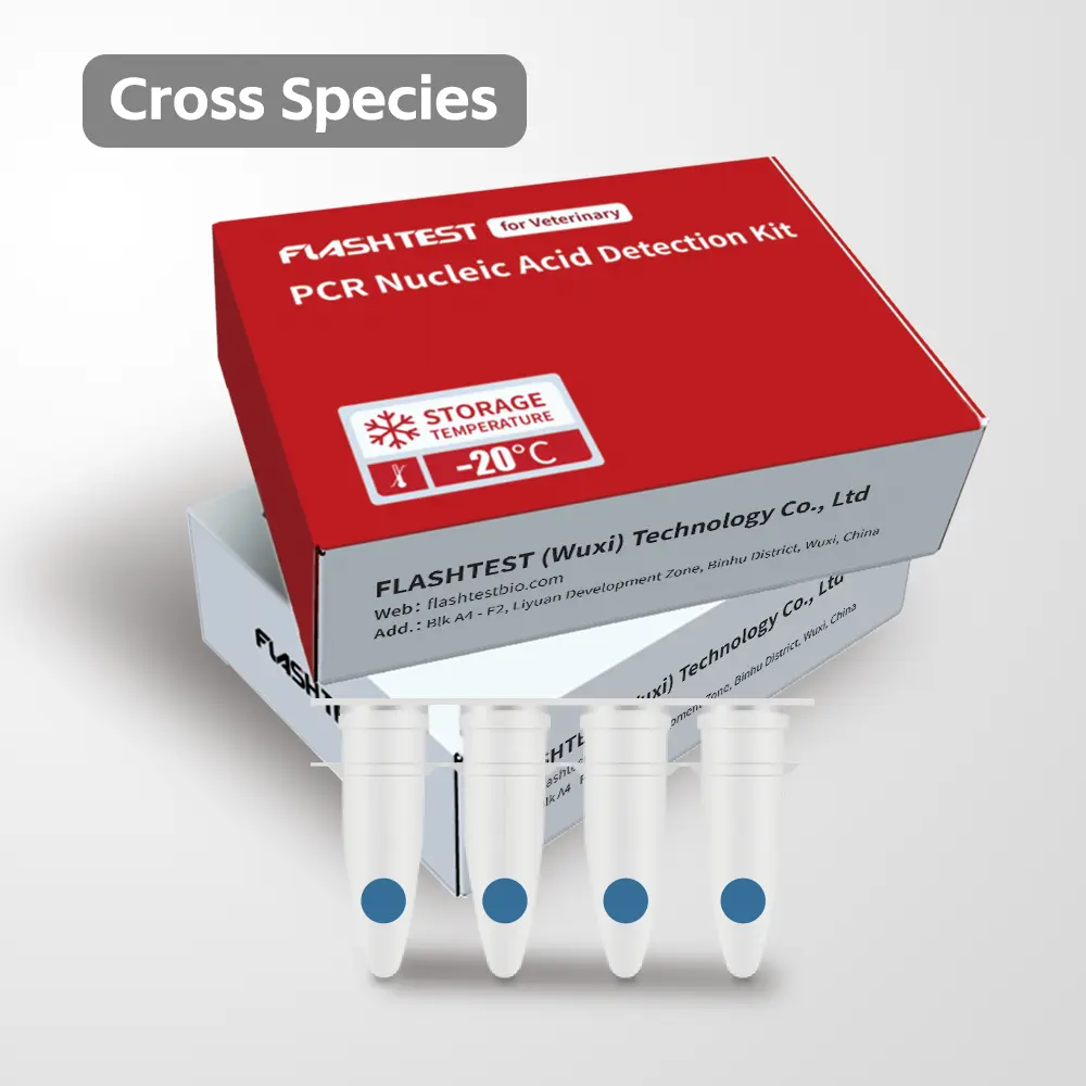 Ehrlichia Nucleic Acid Test Kit (Lyophilized).webp