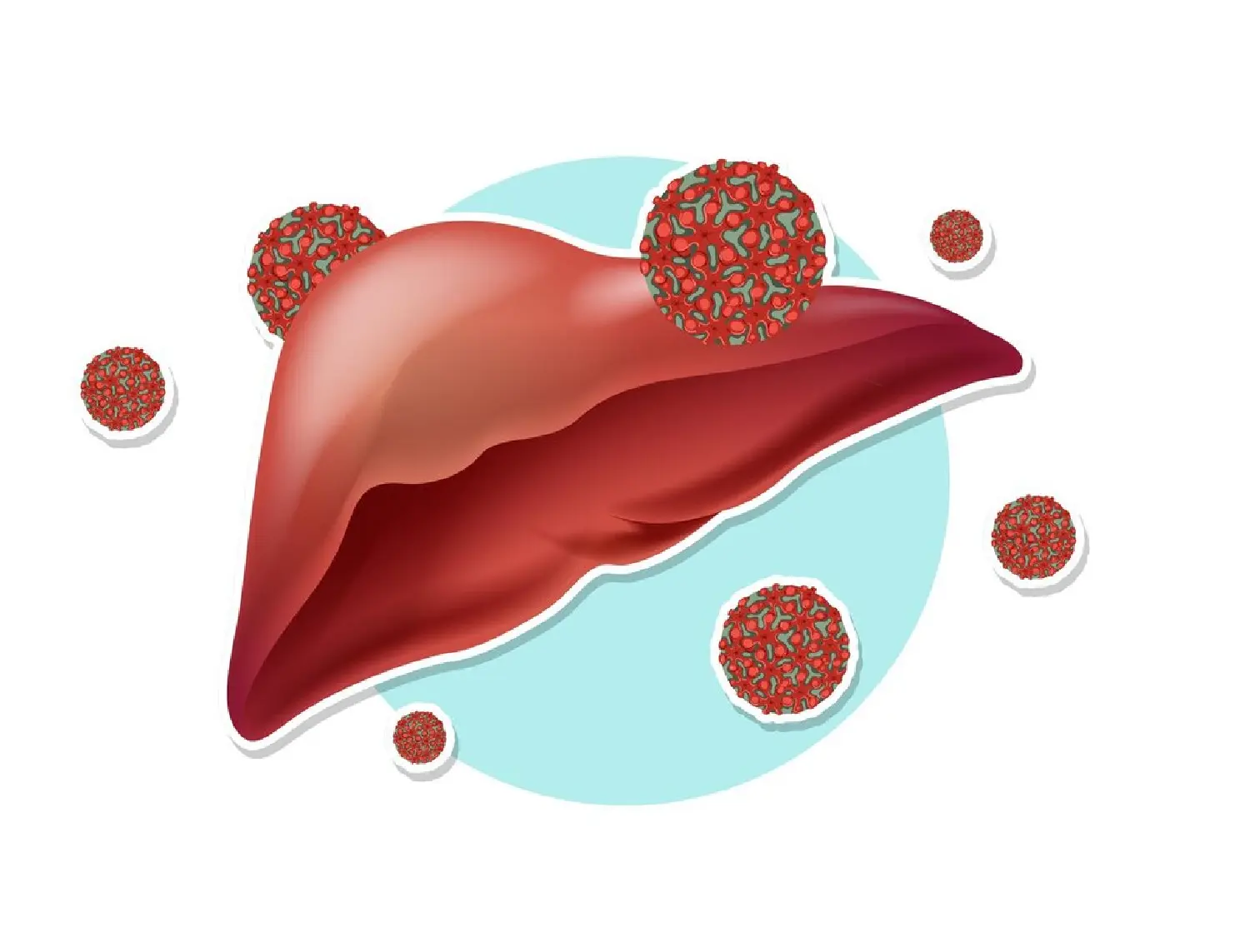 Liver Disease Rapid Test