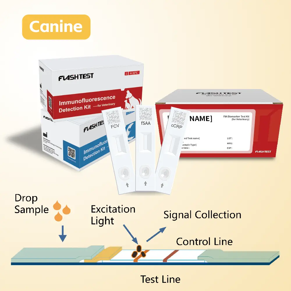 Canine Troponin I (Canine cTnI) Test Kit.webp