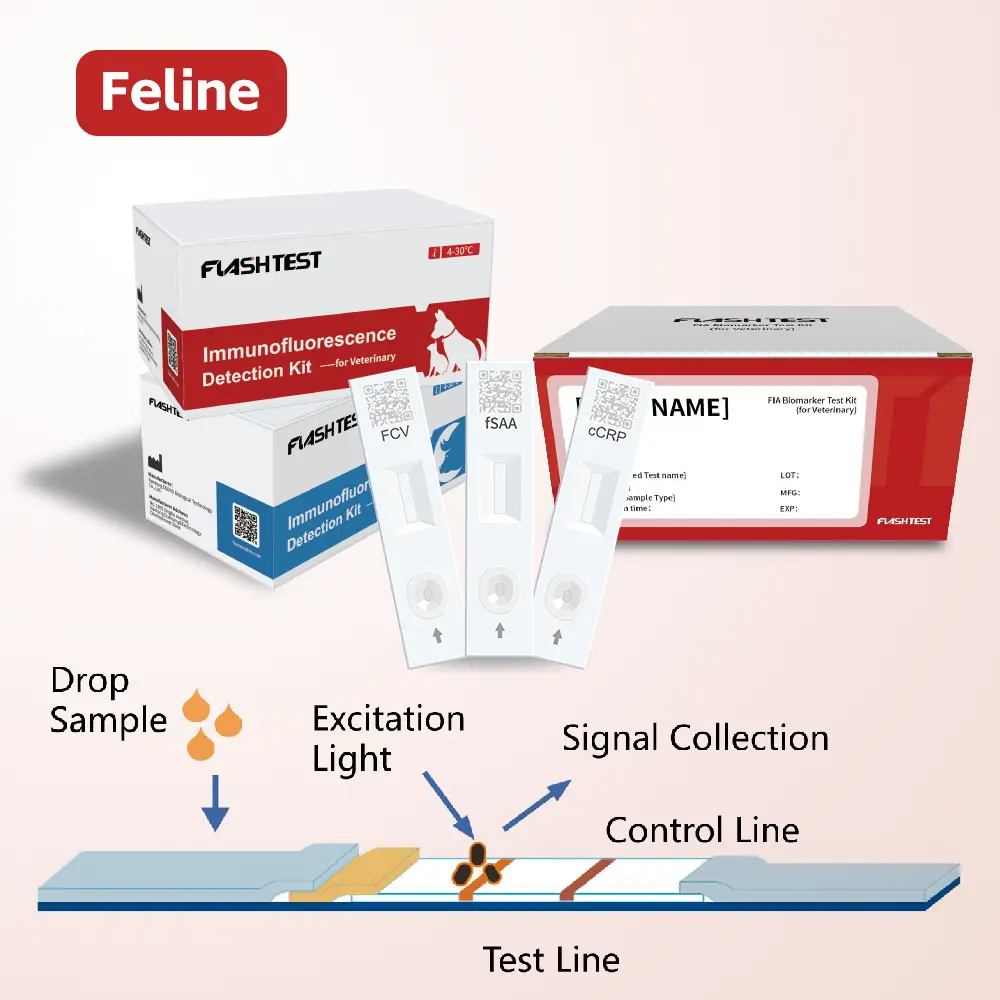 Feline Troponin I (Feline cTnI) Test Kit.webp